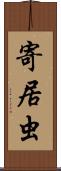 寄居虫 Scroll