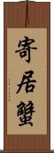 寄居蟹 Scroll