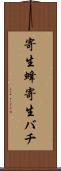 寄生蜂 Scroll