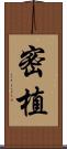 密植 Scroll