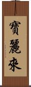 寶麗來 Scroll