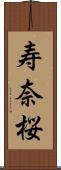 寿奈桜 Scroll