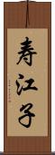 寿江子 Scroll