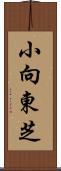 小向東芝 Scroll