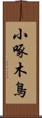 小啄木鳥 Scroll