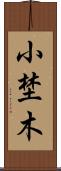 小埜木 Scroll