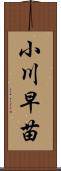 小川早苗 Scroll