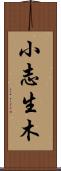 小志生木 Scroll