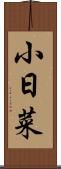 小日菜 Scroll