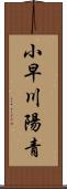小早川陽青 Scroll