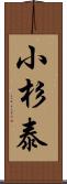 小杉泰 Scroll