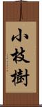 小枝樹 Scroll