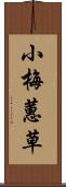 小梅蕙草 Scroll