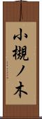 小槻ノ木 Scroll