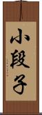 小段子 Scroll