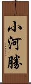 小河勝 Scroll