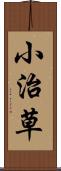 小治草 Scroll