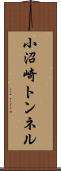小沼崎トンネル Scroll