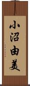 小沼由美 Scroll