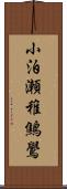 小泊瀬稚鷦鷽 Scroll