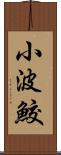 小波鮫 Scroll