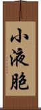 小液胞 Scroll