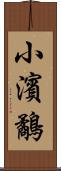 小濱鷸 Scroll