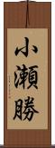小瀬勝 Scroll