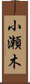 小瀬木 Scroll