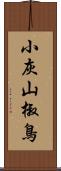 小灰山椒鳥 Scroll