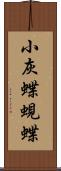 小灰蝶;蜆蝶 Scroll