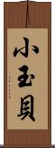 小玉貝 Scroll