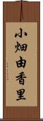 小畑由香里 Scroll