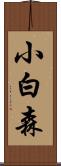 小白森 Scroll