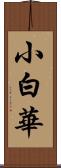 小白華 Scroll