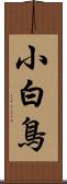小白鳥 Scroll