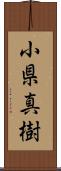 小県真樹 Scroll