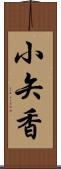 小矢香 Scroll
