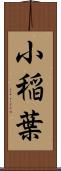 小稲葉 Scroll
