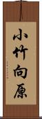 小竹向原 Scroll