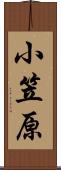 小笠原 Scroll