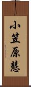 小笠原慧 Scroll