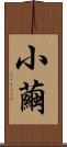 小繭 Scroll