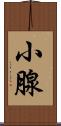 小腺 Scroll