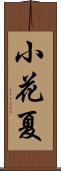 小花夏 Scroll