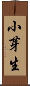 小芽生 Scroll