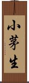 小茅生 Scroll