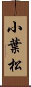 小葉松 Scroll