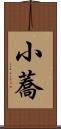 小蕎 Scroll