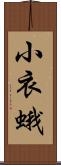 小衣蛾 Scroll